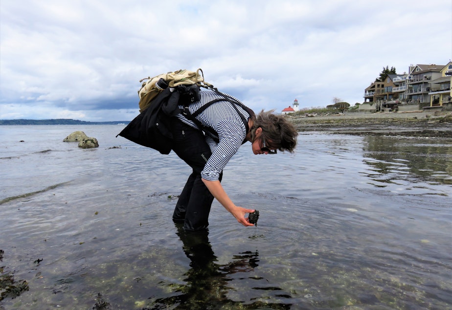 Kelly Brenner has documented over 40 species during the challenge.