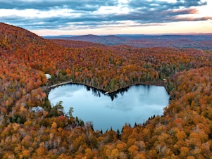 caption: The trees in this photo are amazing (and not just because they happen to be growing in a very Instagrammable heart shape around Baker Lake in Quebec, Canada.) Read on for a tree appreciation reading list for Arbor Day.