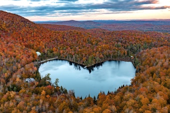 caption: The trees in this photo are amazing (and not just because they happen to be growing in a very Instagrammable heart shape around Baker Lake in Quebec, Canada.) Read on for a tree appreciation reading list for Arbor Day.