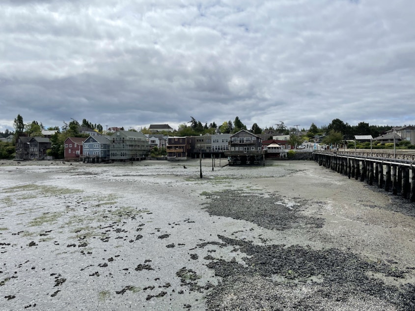 caption: Businesses on Coupeville's Front Street, as seen from its historic wharf
