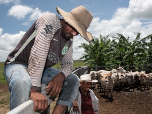 caption: Colombian cowboys are known as <em>llaneros</em>, Spanish for plainsmen.