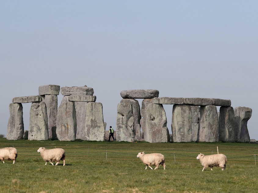 caption: Sheep graze in front of southern England's Stonehenge in April. Scientists say they've determined some of the structure's sandstone megaliths came from 15 miles away.