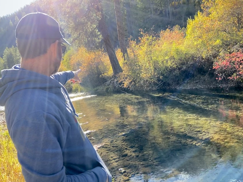 caption: Casey Baldwin, a research scientist with the Confederated Tribes of the Colville Reservation, points out a salmon nest, or redd, on the Sanpoil River.