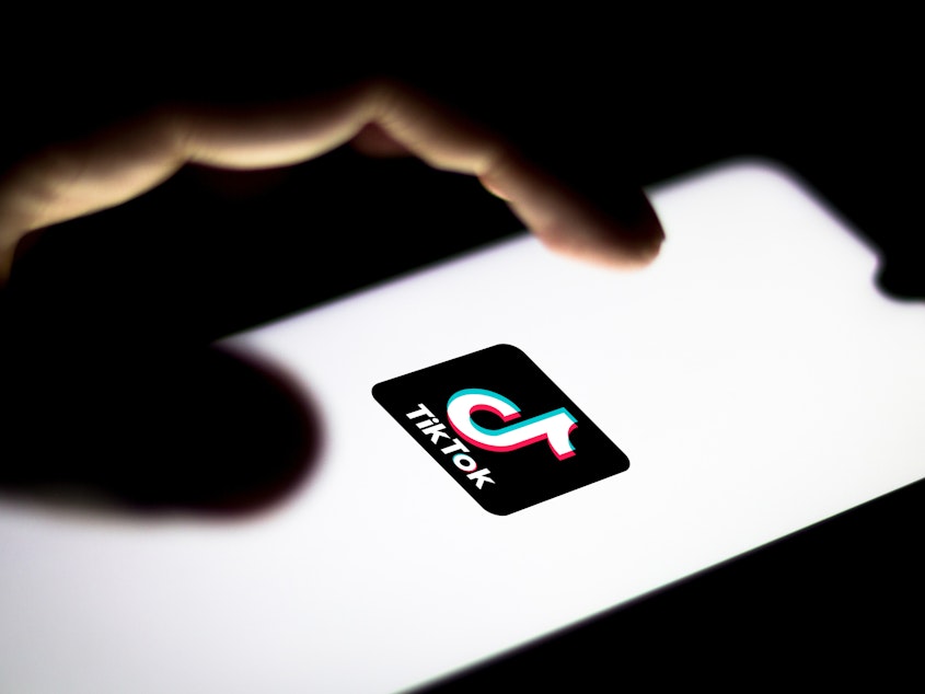 caption: TikTok has been under fire in Washington, as the Trump administration and some Democrats in Congress have been raising national security concerns about the Chinese-owned app.