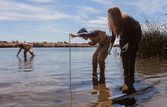 caption: U.S. Environmental Protection Agency scientists Rochelle Labiosa (right) and Lil Herger examine the Columbia River for toxic algae as Jason Pappani leans over to reach into the water.