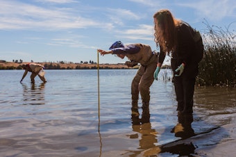 caption: U.S. Environmental Protection Agency scientists Rochelle Labiosa (right) and Lil Herger examine the Columbia River for toxic algae as Jason Pappani leans over to reach into the water.