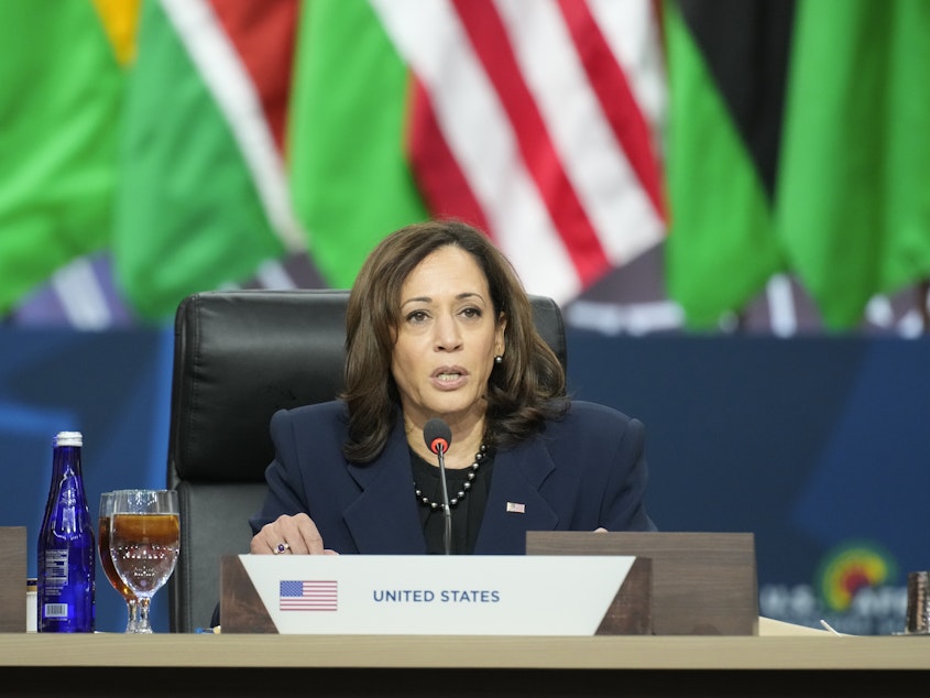 caption: Vice President Harris speaks during the U.S. Africa Leaders Summit in Washington on Dec. 15, 2022.