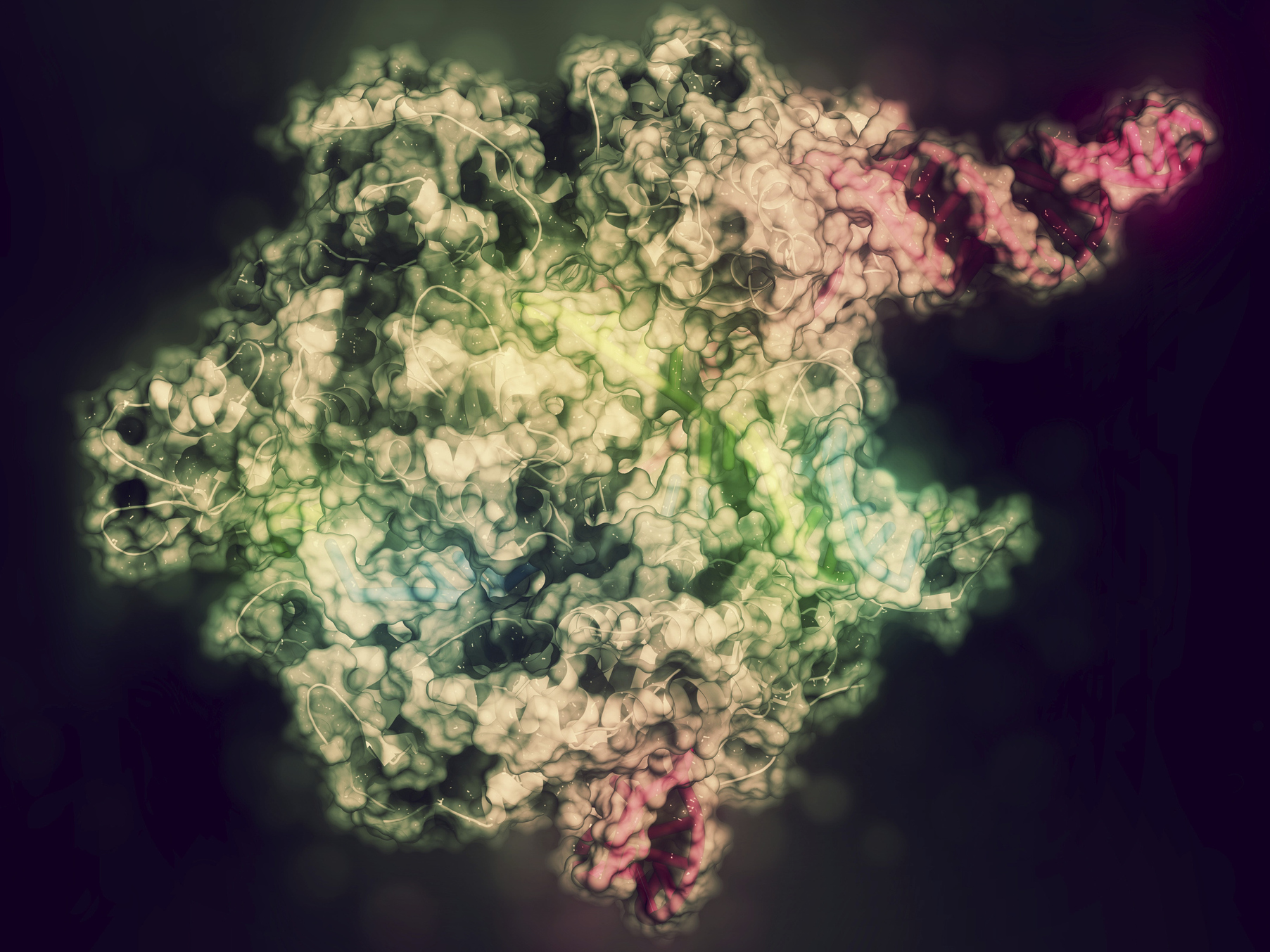 caption: CRISPR-CAS9 gene editing technology allows scientists to make highly precise modifications to DNA. The technology is now starting to be used in human trials to treat several diseases in the U.S.