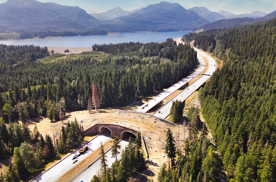 caption: This landscaped overpass allows wildlife to safely cross newly widened Interstate 90 near Keechelus Lake in the Washington Cascades.