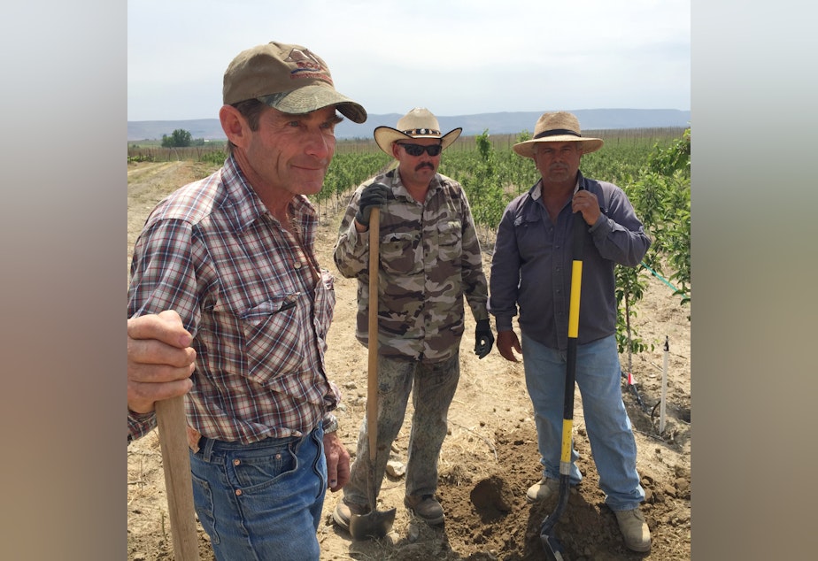 caption: Jim Willard, Juan Manel and Leobardo Magana worked to adjust irrigation systems for the short water year on a farm outside of Prosser, Wash.