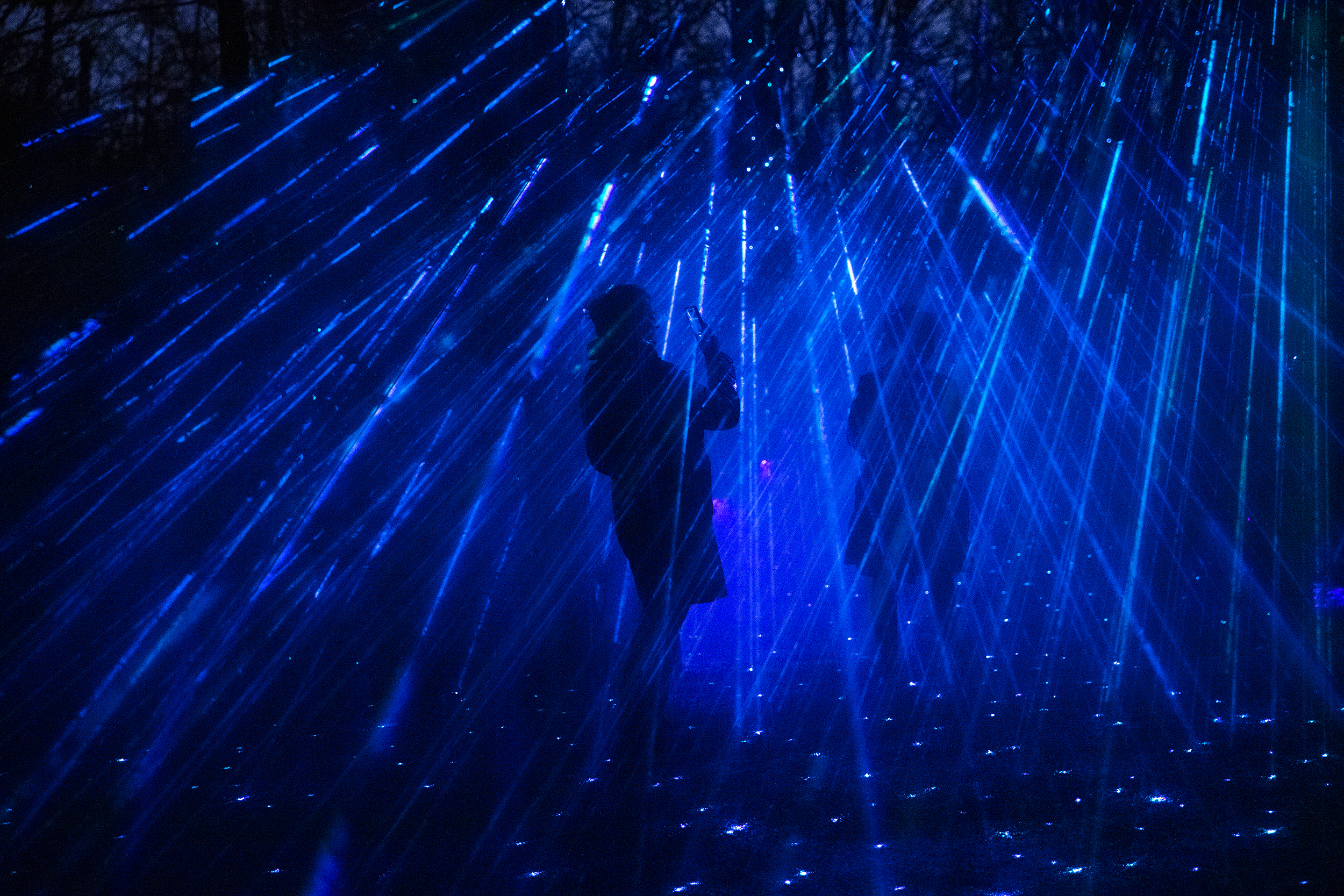 caption: Guests take photos of one another at Astra Lumina on Thursday, December 4, 2025, at the Seattle Chinese Garden in West Seattle. 