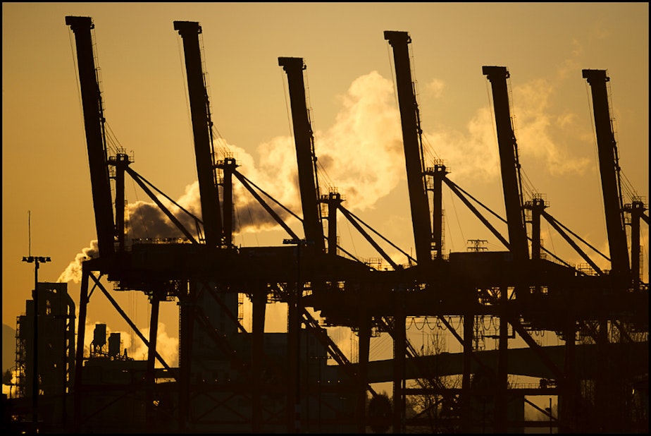 caption: Cranes at the Port of Seattle