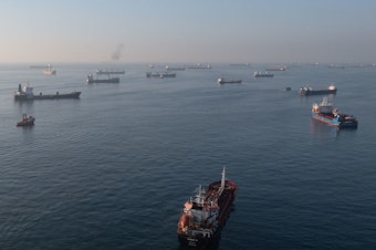 caption: Ships, including those carrying grain from Ukraine and awaiting inspections, are seen anchored off the Istanbul coastline on Wednesday in Istanbul, Turkey.