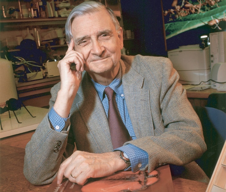 caption: E.O. Wilson says that if there is extraterrestrial life, they've probably already achieved the scientific knowledge we have on Earth. 
