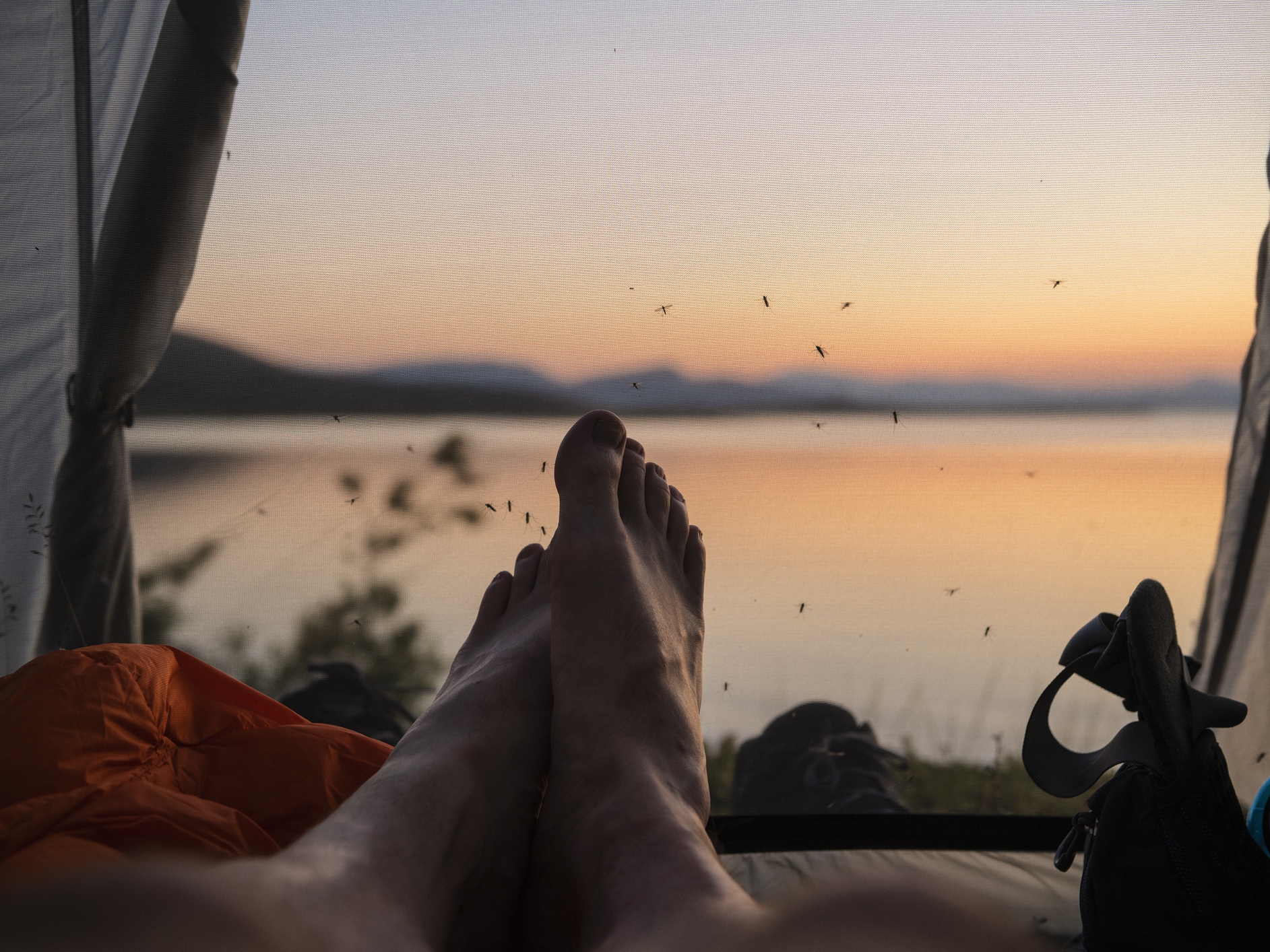 caption:  Mosquitoes kill more people than any other creature in the world.  So the key is — try not to get bitten.