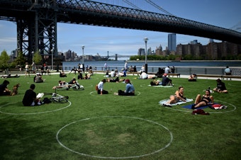 caption: A new study has found that parks in low-income and majority nonwhite communities are smaller and serve a larger number of people per park acre. People are seen here relaxing in May in Brooklyn's Domino Park.