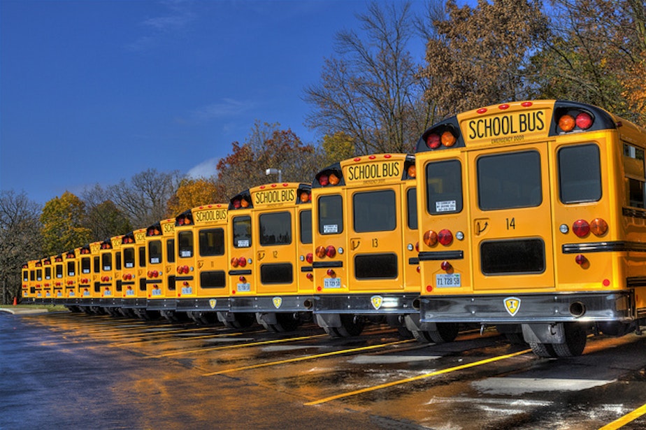 school schools bus