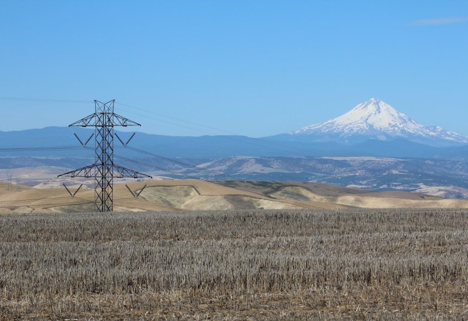 caption: A view of the Bonneville Power Administration's Big Eddy-Knight transmission line. More renewable energy development and less room for energy conservation are two of the biggest changes in the draft of the new regional power plan.
