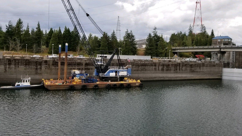 caption: This Sunday, Sept. 8, 2019 photo provided by the U.S. Army Corps of Engineers shows a boat lock on the Bonneville Dam on the Columbia River that connects Oregon and Washington at Cascade Locks., Ore.
