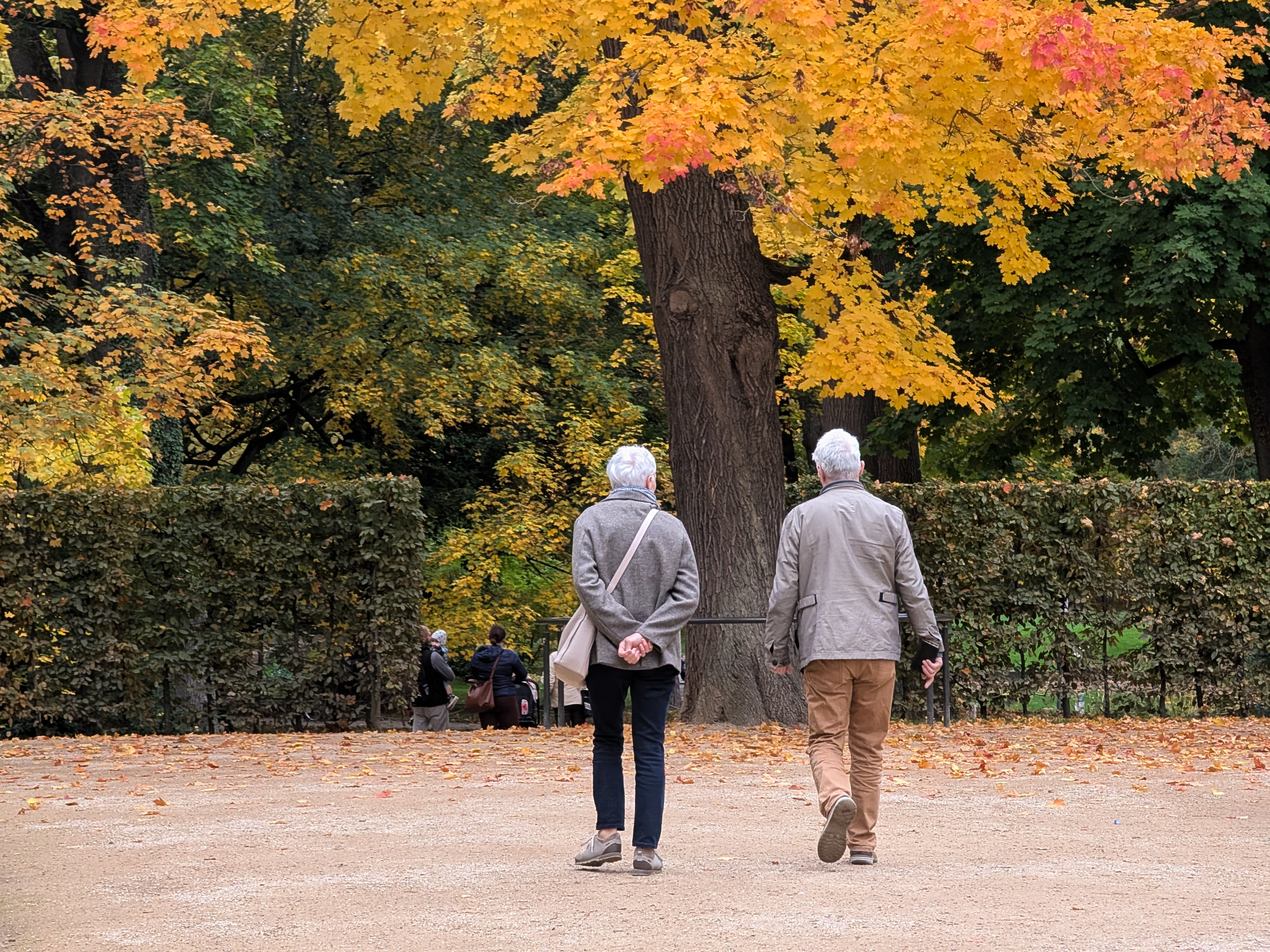caption: Researchers want to test if a combination of interventions can help people remain vital for longer.