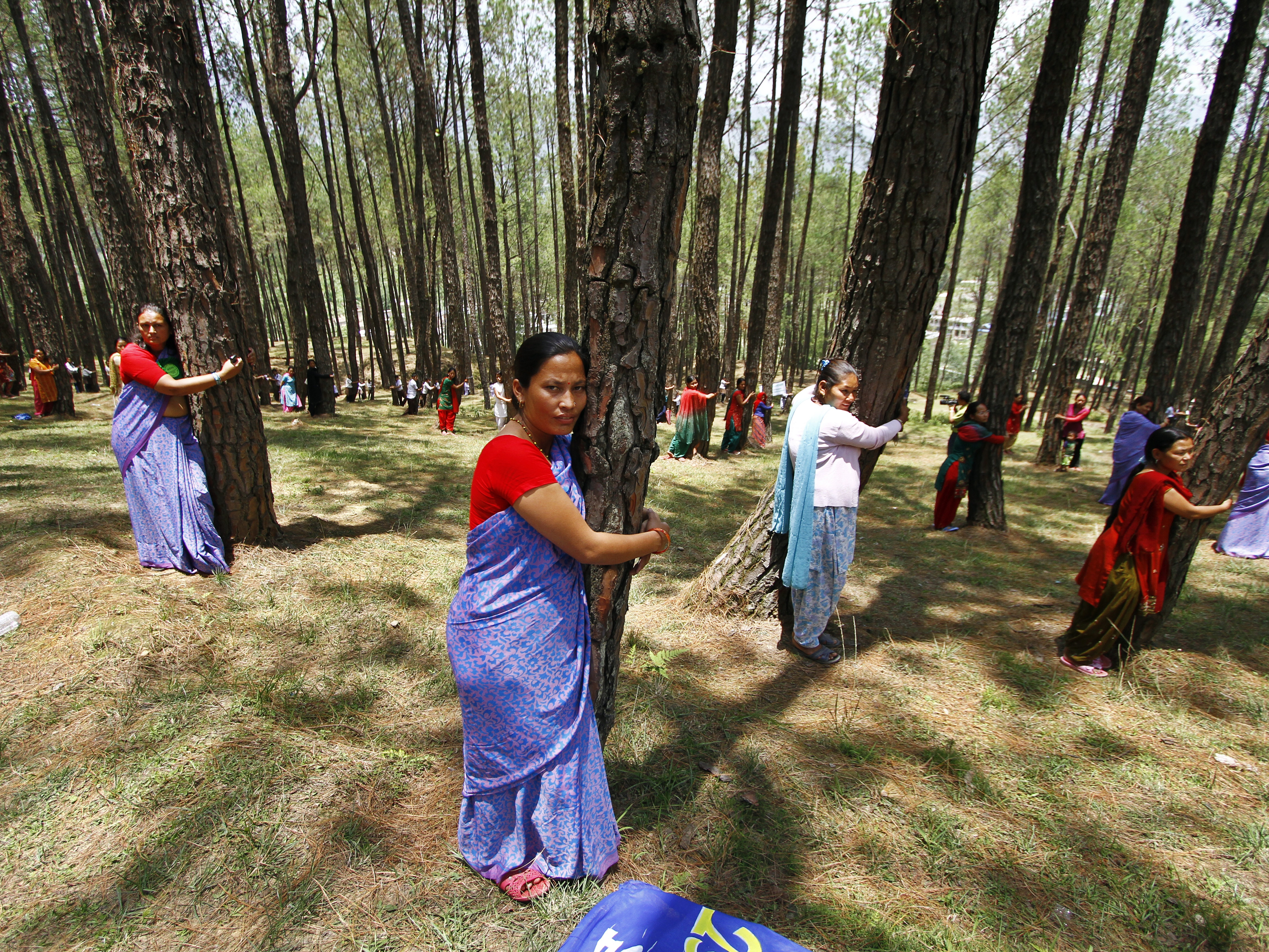 caption: Nepalese people hug trees during a mass tree hugging on World Environment Day in Katmandu, Nepal, Sunday, June 5, 2011.