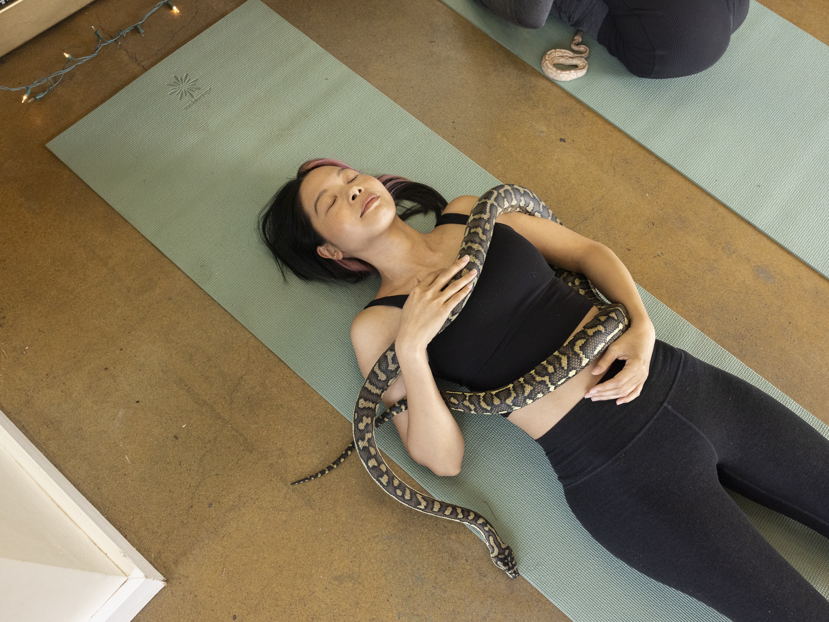 caption: Christina Chang is encircled by Gemma, a carpet python, during Snake Yoga at HISSS in Portland, Ore. on Feb. 28.