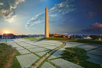 caption: A composite photograph captures the passage of day to night at the "In America: Remember" art installation on the National Mall in Washington, D.C. Each flag represents an American life lost to COVID-19.