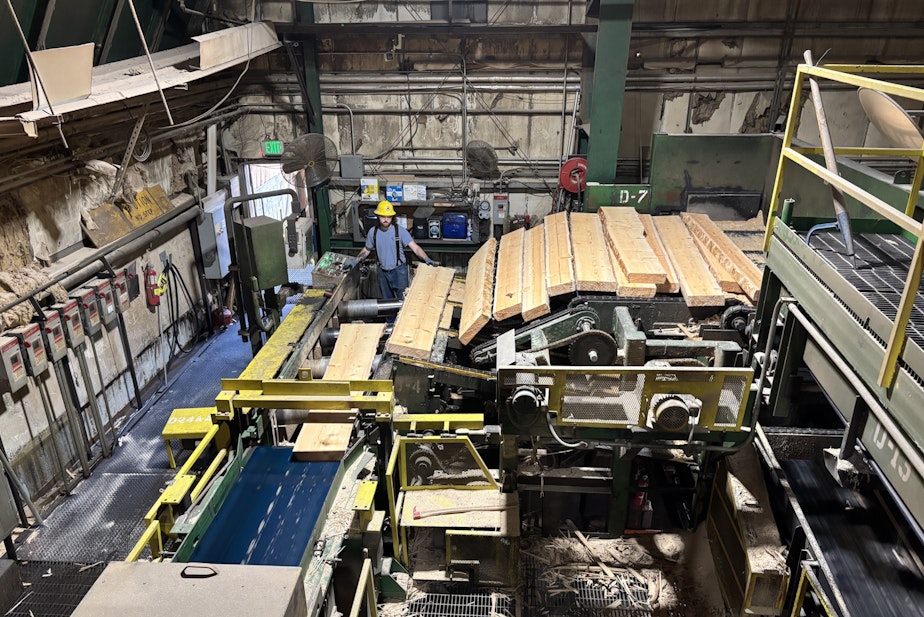 caption: A worker monitors wood slabs as they're fed into a machine that will saw them into 2-by-6 studs.