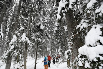caption: People hike under trees as snow falls near Lake Louise in Banff National Park, Alberta, Canada, in November.