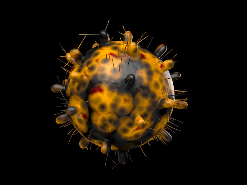 caption: Here's a computer generated image of the omicron variant of the coronavirus — also known as B.1.1.529. Reported in South Africa on Nov. 24, this variant has a large number of mutations, some of which are concerning.