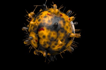 caption: Here's a computer generated image of the omicron variant of the coronavirus — also known as B.1.1.529. Reported in South Africa on Nov. 24, this variant has a large number of mutations, some of which are concerning.