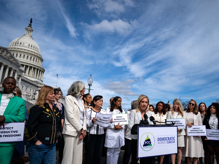 caption: Amanda Zurawski, a guest to the State of the Union of Rep. Katherine Clark, D-Mass., speaks during a news conference held by members of the Pro-Choice Caucus and Democratic Women's Caucus at the U.S. Capitol on Thursday.