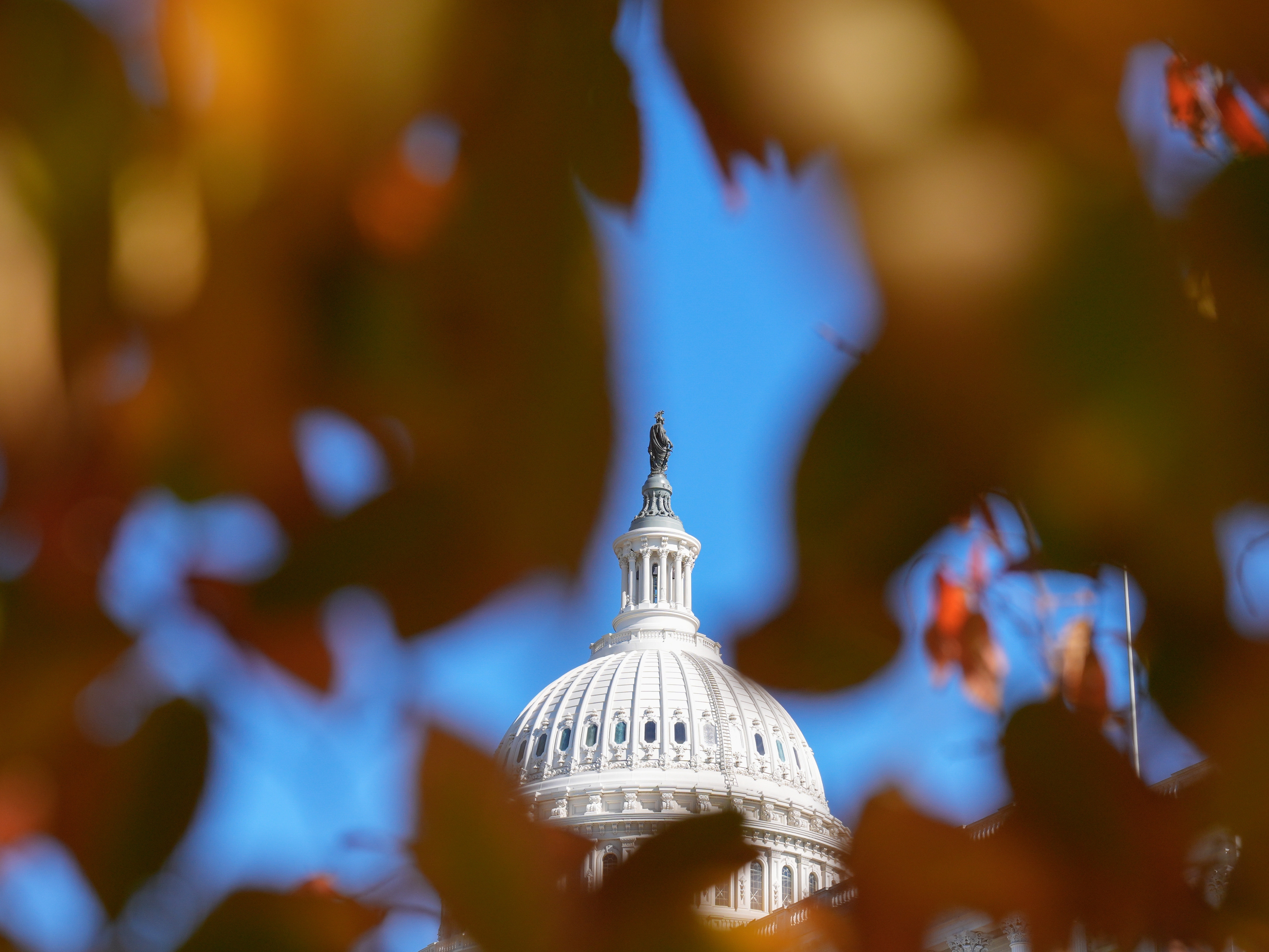 caption: The federal government has been shut down since Congress failed to pass a spending bill on Oct. 1.