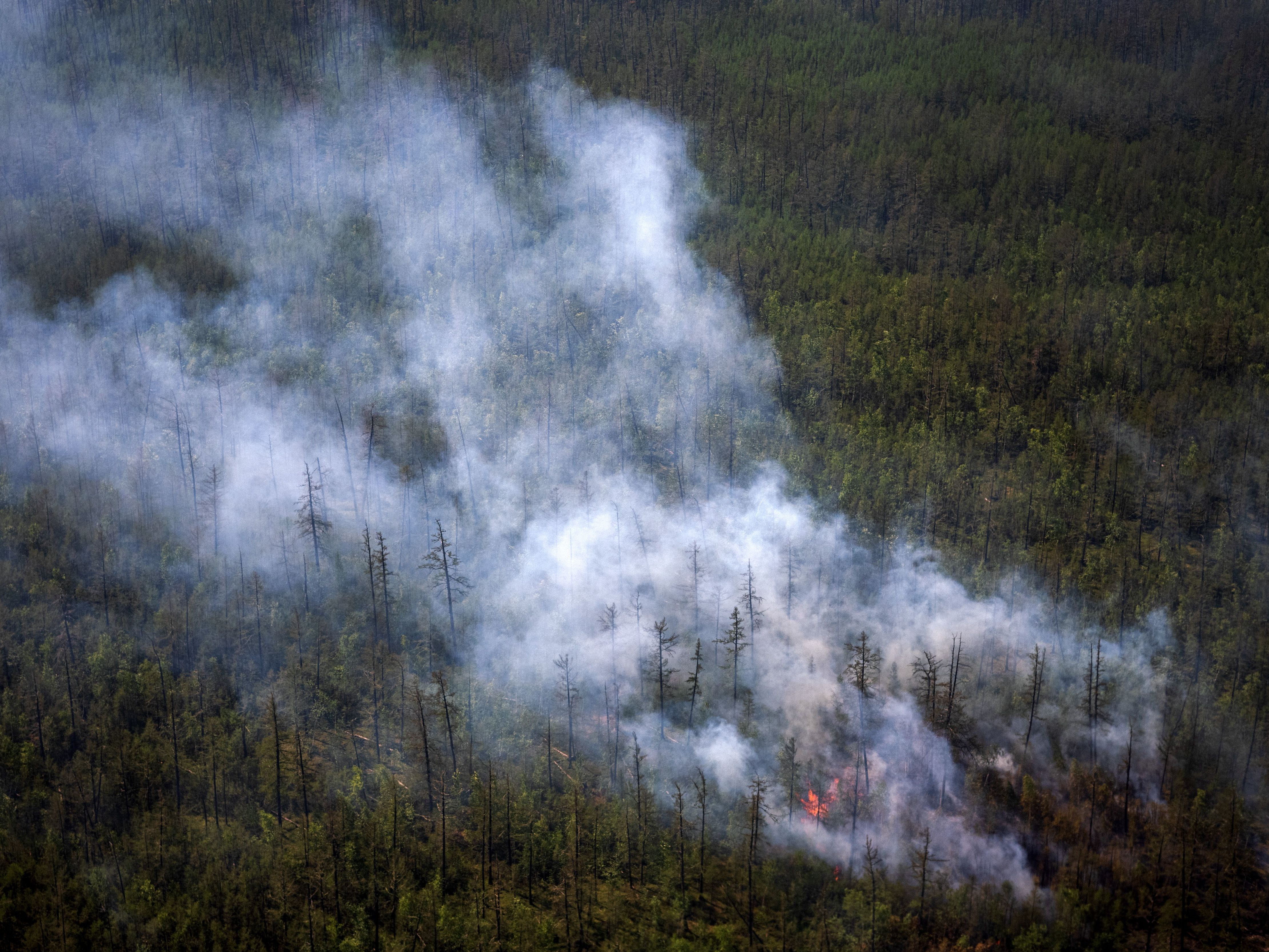 caption: This aerial picture taken from an airplane on July 27 shows smoke rising from a forest fire outside the village of Berdigestyakh in Siberia's Republic of Sakha.