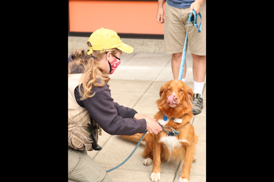 caption: I watch my mom pick up Copper the dog from his owner. My mom is a dog walker. They are socially distanced and wearing masks. Copper lives in an apartment, making pick-up more tricky. Copper is excited and flailing around because he hasn’t seen us in a while.