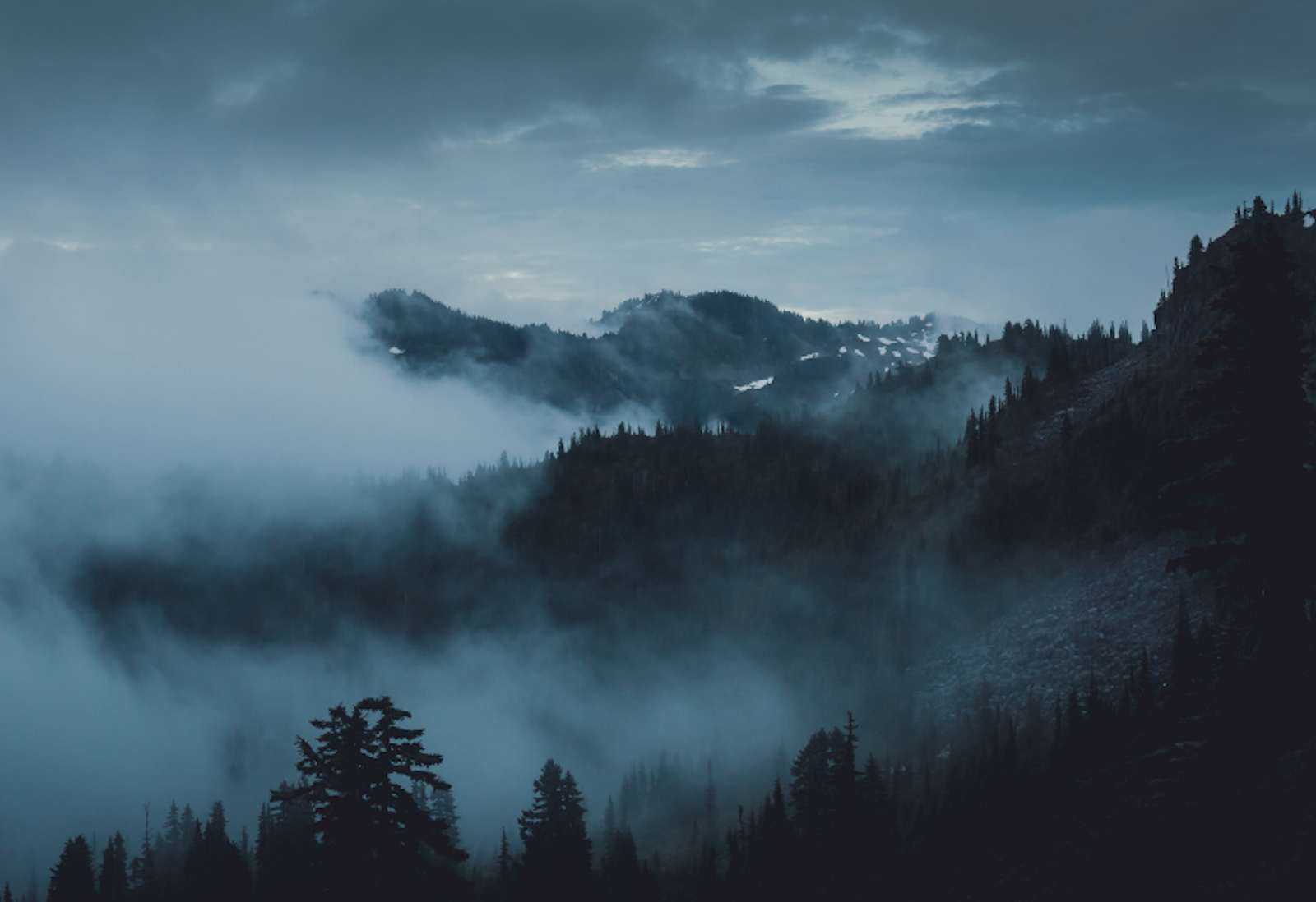 Photo of a forested, mountainous area under grey, clouded skies and dense, ominous  fog.
