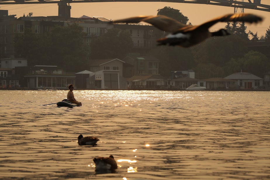 caption: Geese and Seattlelites are seeing at Fritz Hedges Waterway Park in Seattle during an August smokey evening.