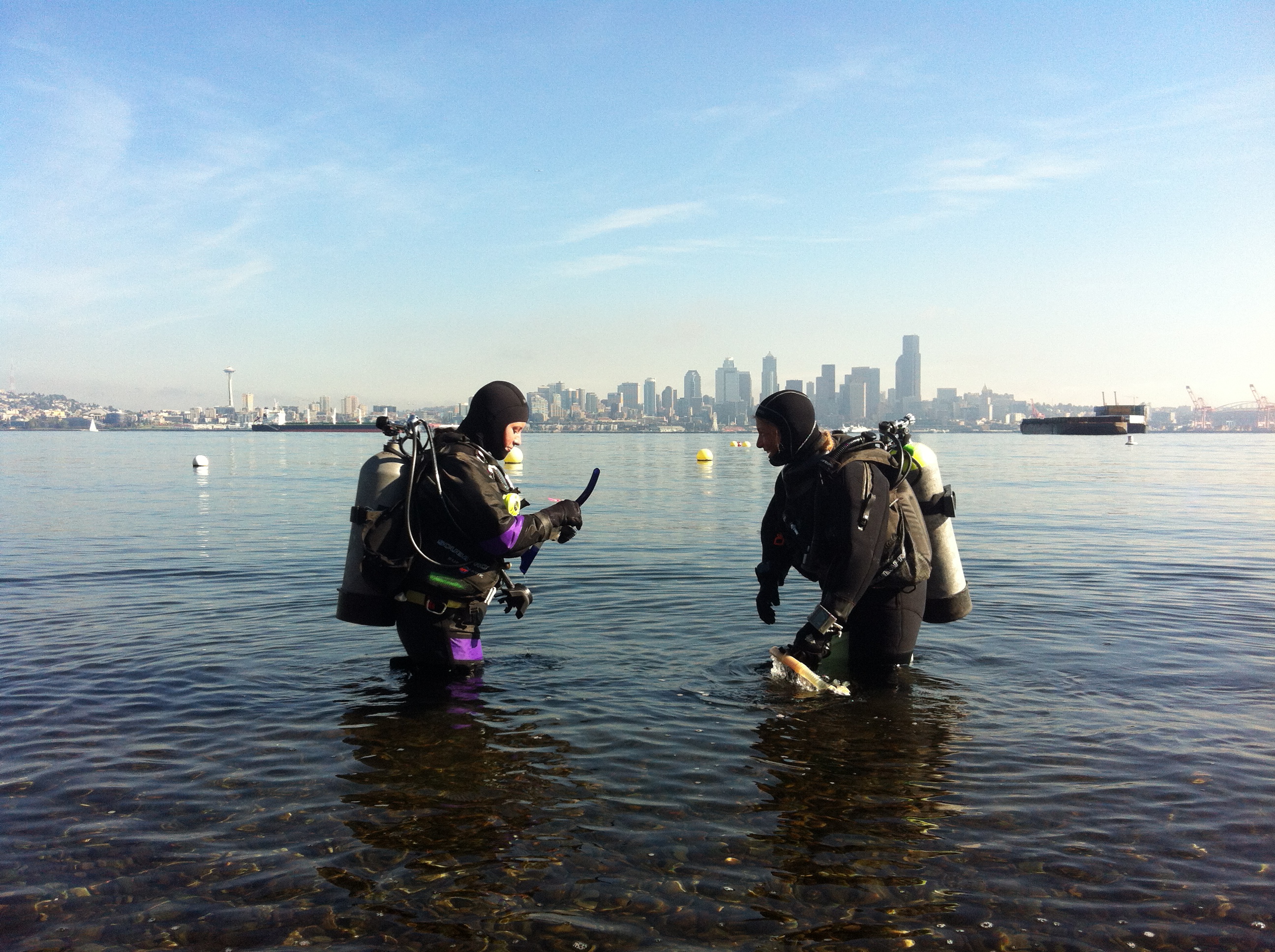 caption: Alki divers