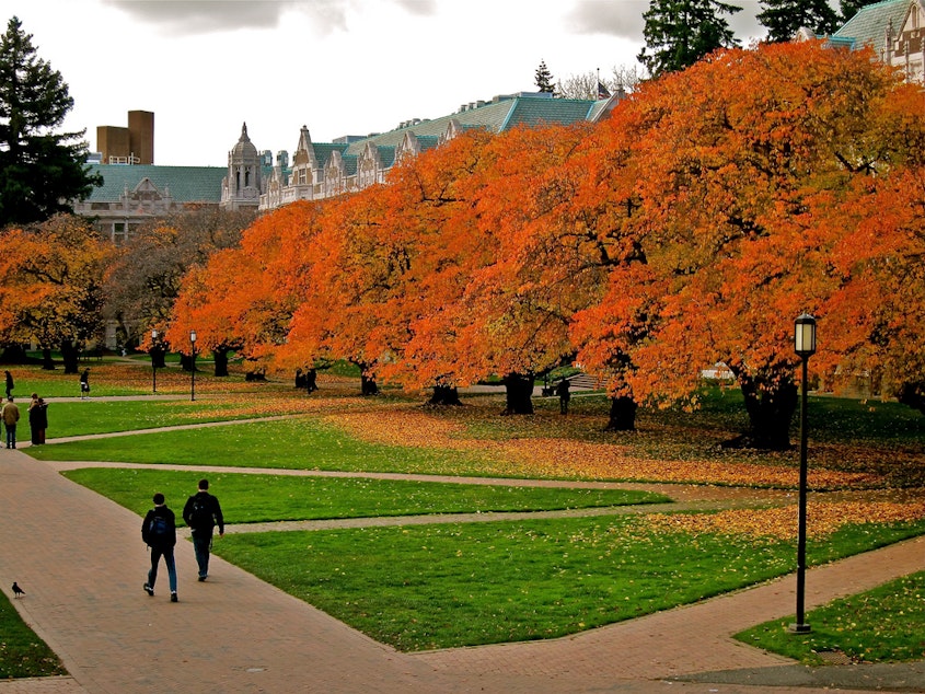 caption: Students walk through the UW's Quad on the Seattle campus.