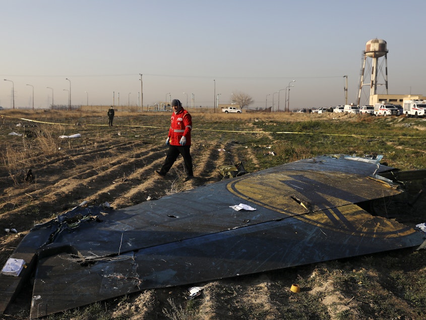 caption: A rescue worker searches the scene where a Ukraine International Airlines plane crashed near Tehran's Imam Khomeini International Airport on Wednesday. All 176 people onboard the Boeing 737-800 were killed.