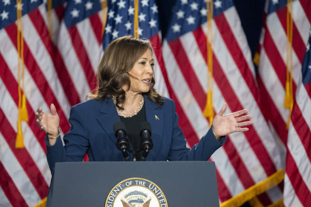 caption: Vice President Kamala Harris campaigns for President as the presumptive Democratic candidate. (Kayla Wolf/AP)