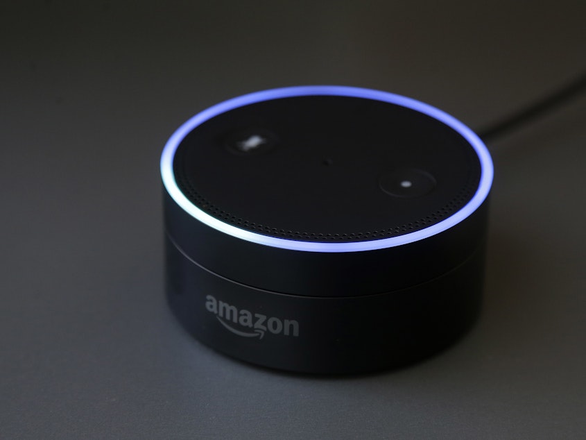 caption: Gizmodo's Kashmir Hill tried to disconnect from all Amazon products, including smart speakers, as part of a bigger experiment in living without the major tech players.