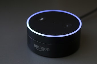 caption: Gizmodo's Kashmir Hill tried to disconnect from all Amazon products, including smart speakers, as part of a bigger experiment in living without the major tech players.