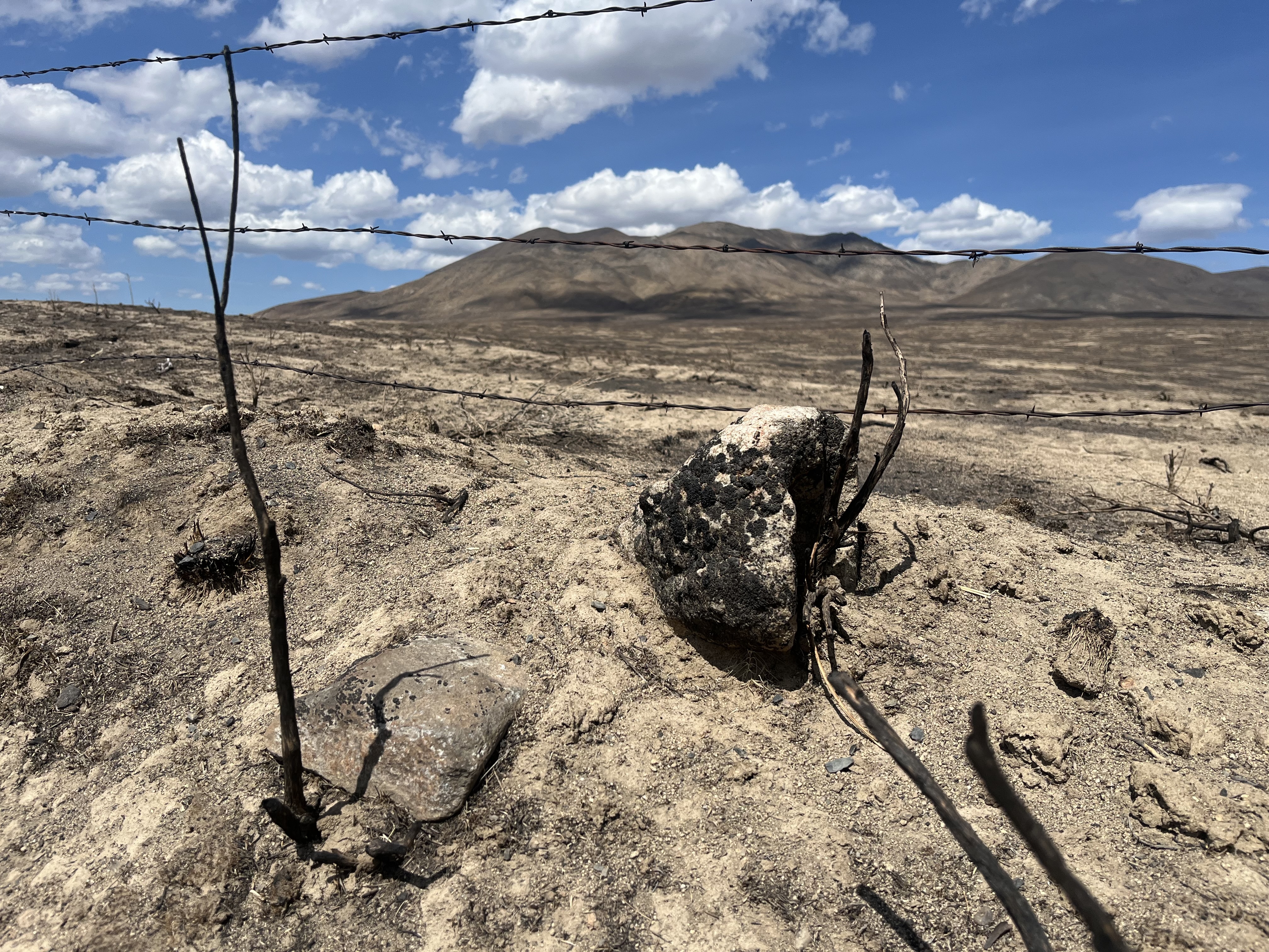 caption: Range fires blackened hundreds of thousands of acres in eastern Oregon in a matter of hours in July. 