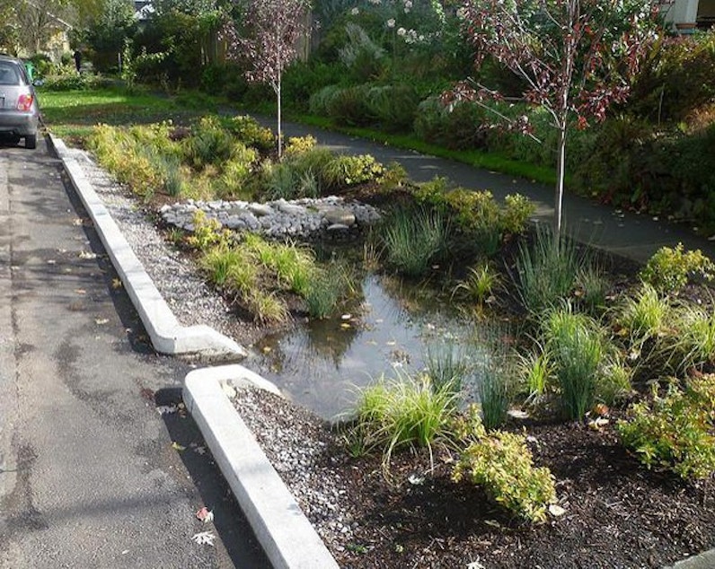 caption: <p>A "green street" project in Portland designed to absorb stormwater and prevent sewer backups and overflows.</p>