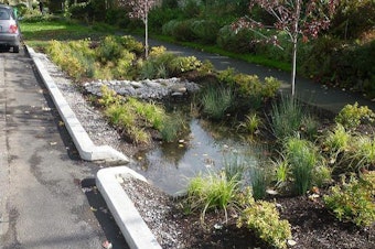 caption: <p>A "green street" project in Portland designed to absorb stormwater and prevent sewer backups and overflows.</p>