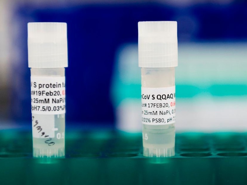caption: Potential COVID-19 vaccines are kept in a tray at Novavax labs in Maryland on March 20. The Novavax vaccine requires an immune-boosting ingredient called an adjuvant to be effective.
