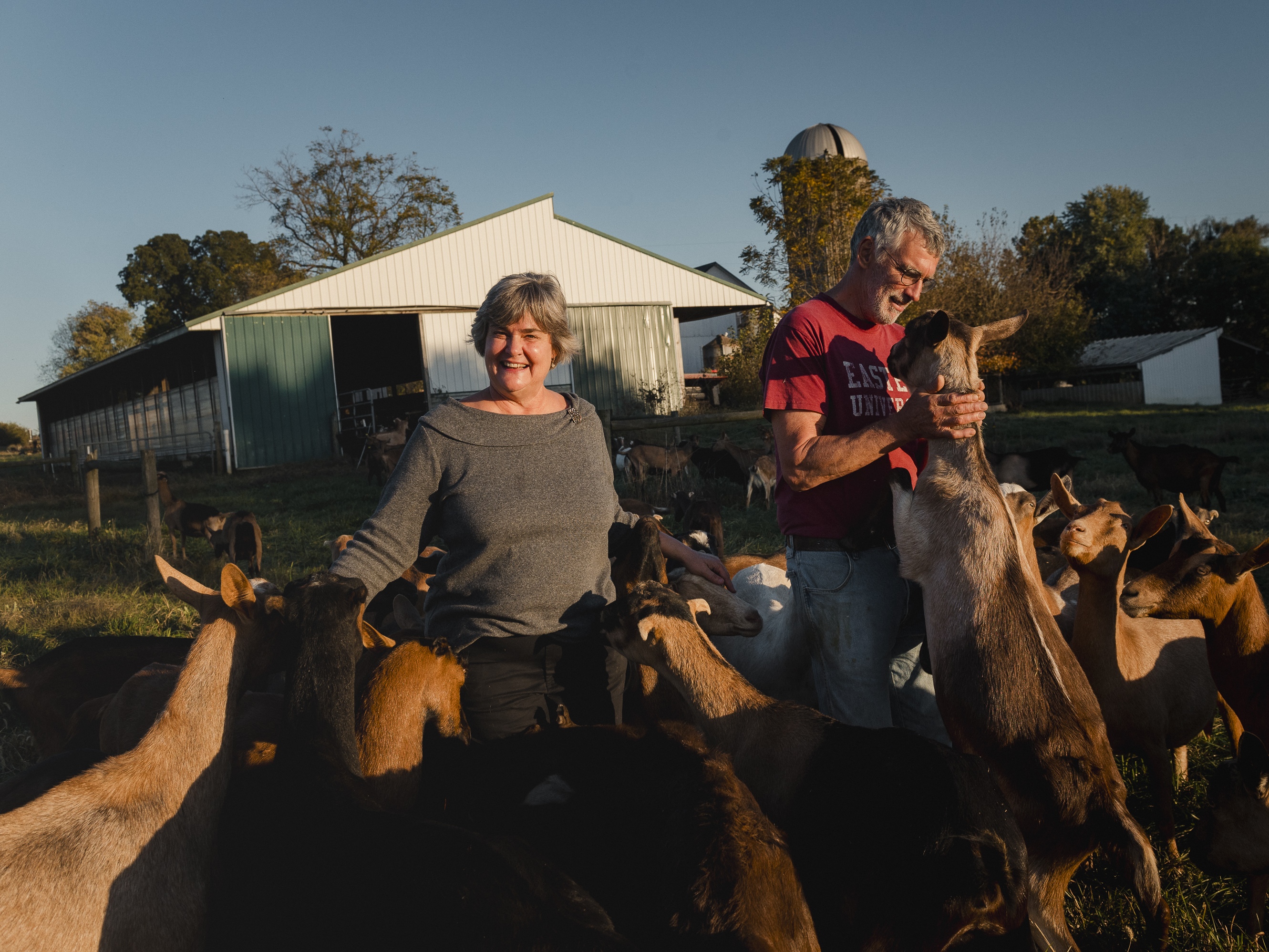 caption: Mary Mellinger, 61, left, and her husband, Andrew Mellinger, 63, pose with their goats on their farm in Ronks, PA, on Friday, October 18, 2024.<br>