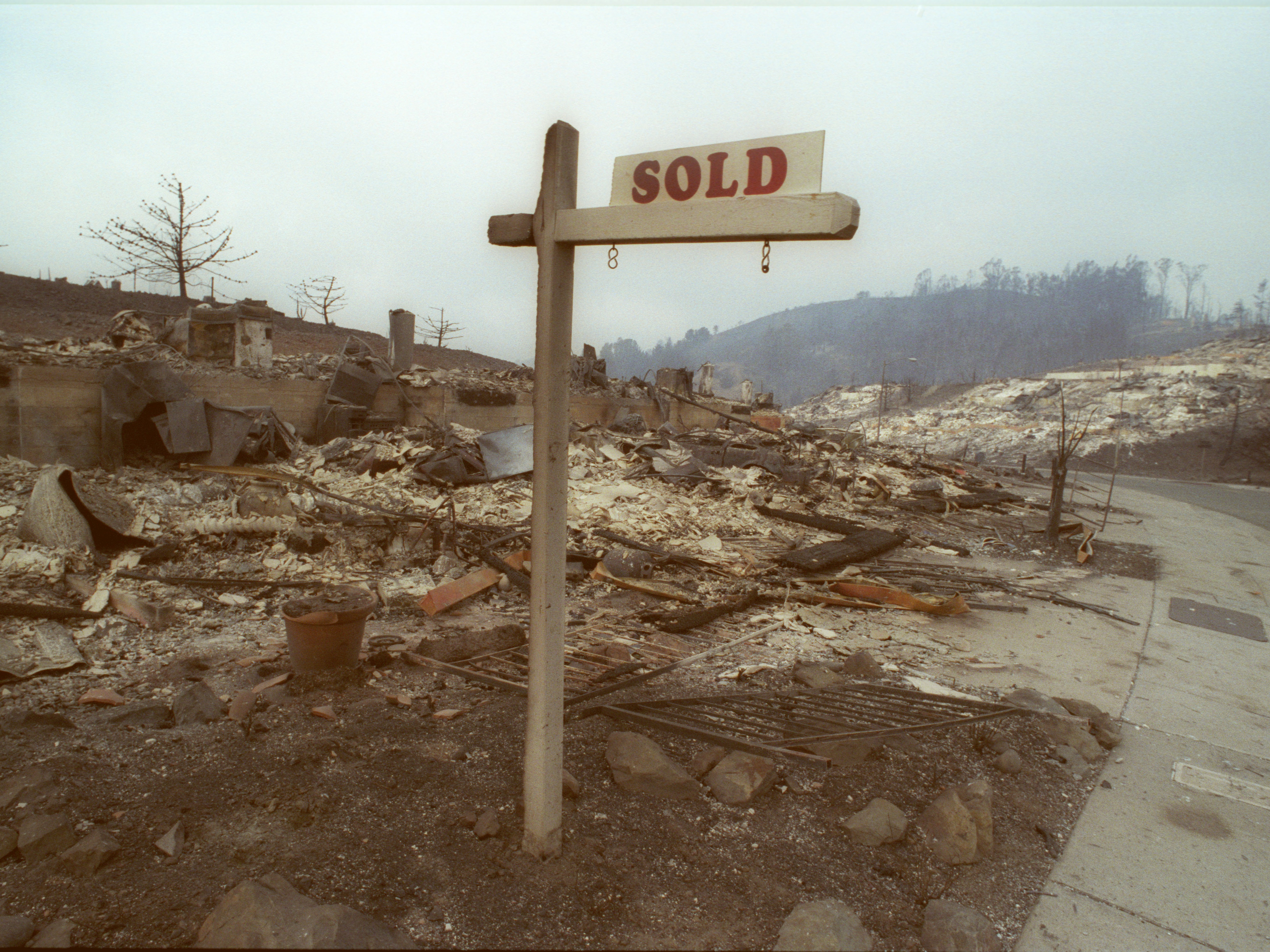 caption: Real estate sign left standing amidst smoldering ruins of Oct. 20, 1991 Oakland hills fire.