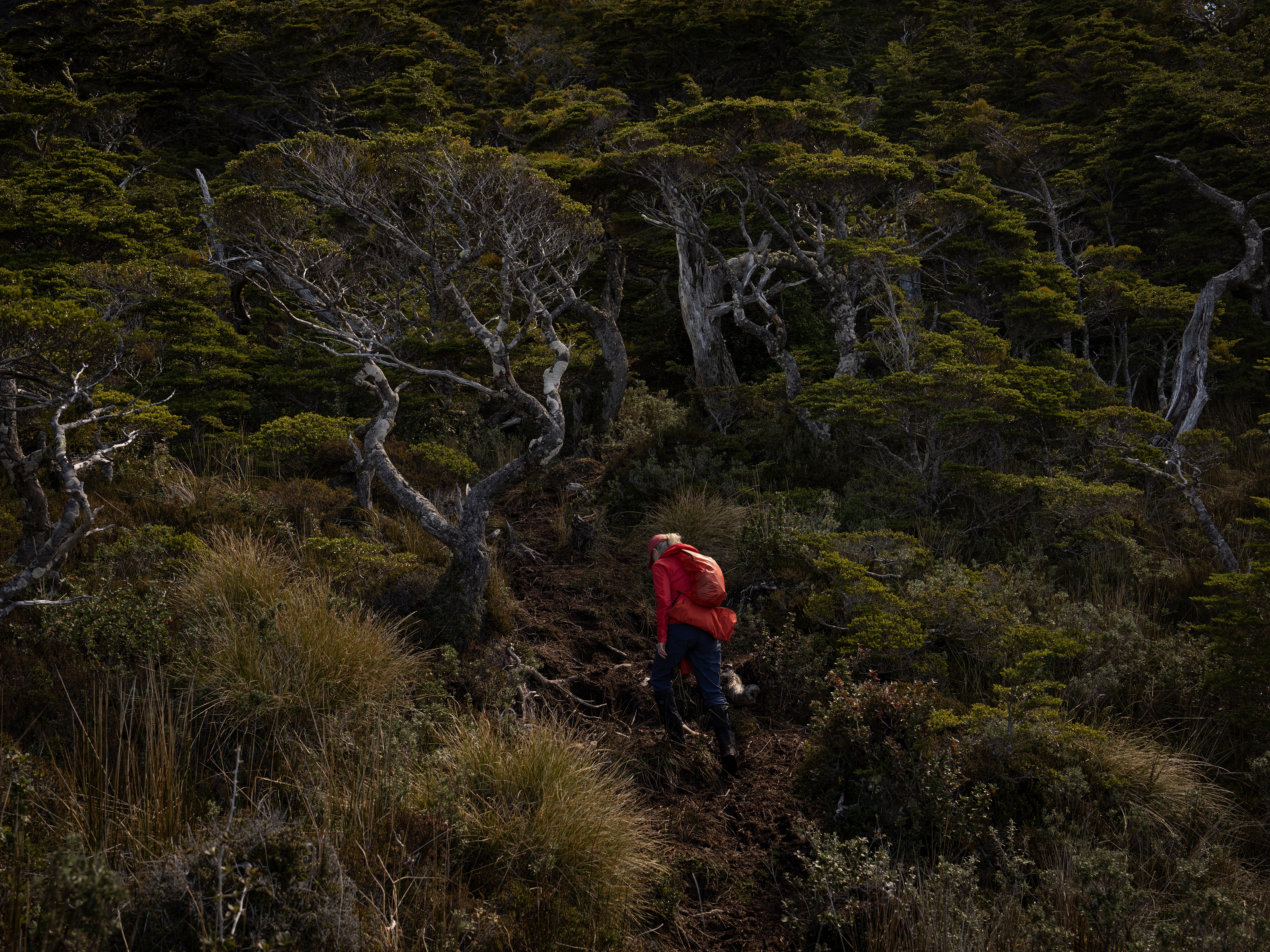 caption: Kristine Tompkins, founder of Tompkins Conservation, hikes up to the Cross of the Seas located in the southernmost point of South America, in Patagonia, Chile, on Nov. 2, 2024.